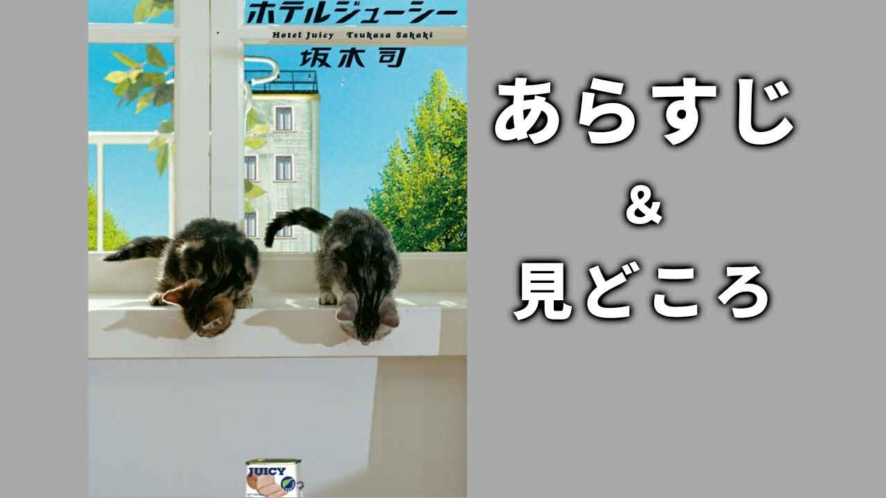 『ホテルジューシー』あらすじ＆見所